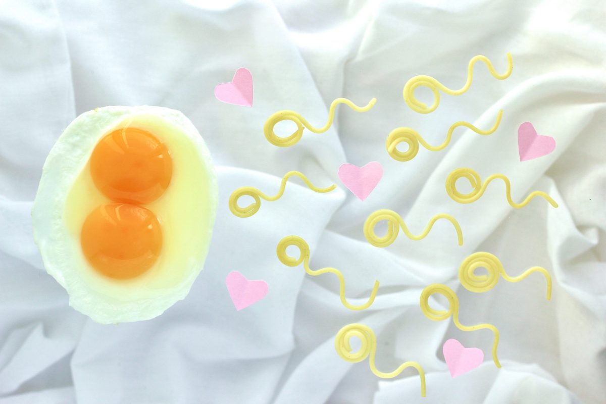 egg-with-two-yolks-and-pasta-look-like-sperm-compe-2022-11-14-03-06-50-utc-scaled-1-1200x800.jpg