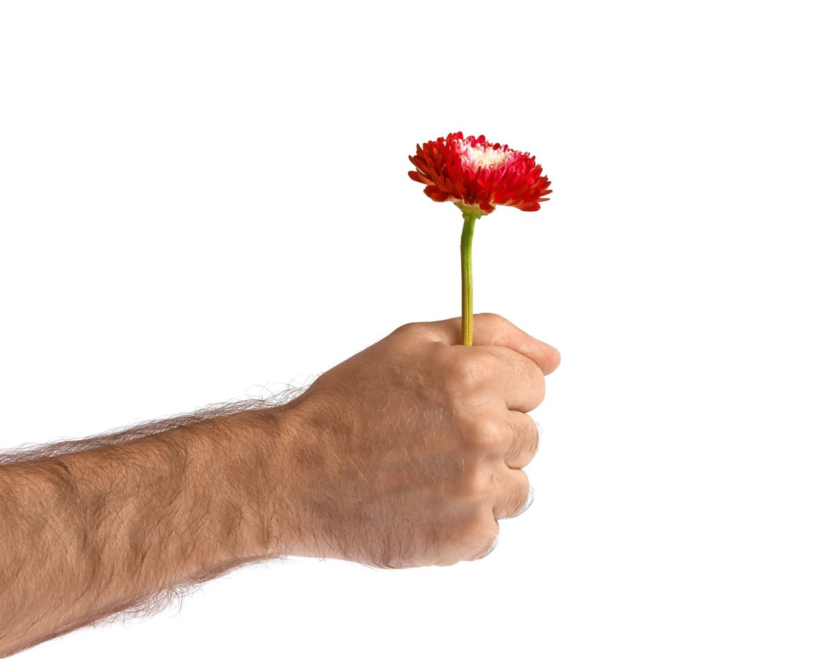 red-flower-in-man-hand-2022-11-17-16-14-05-utc-scaled-1-1200x952.jpg